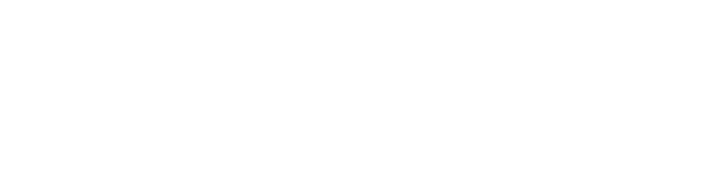WerkAI