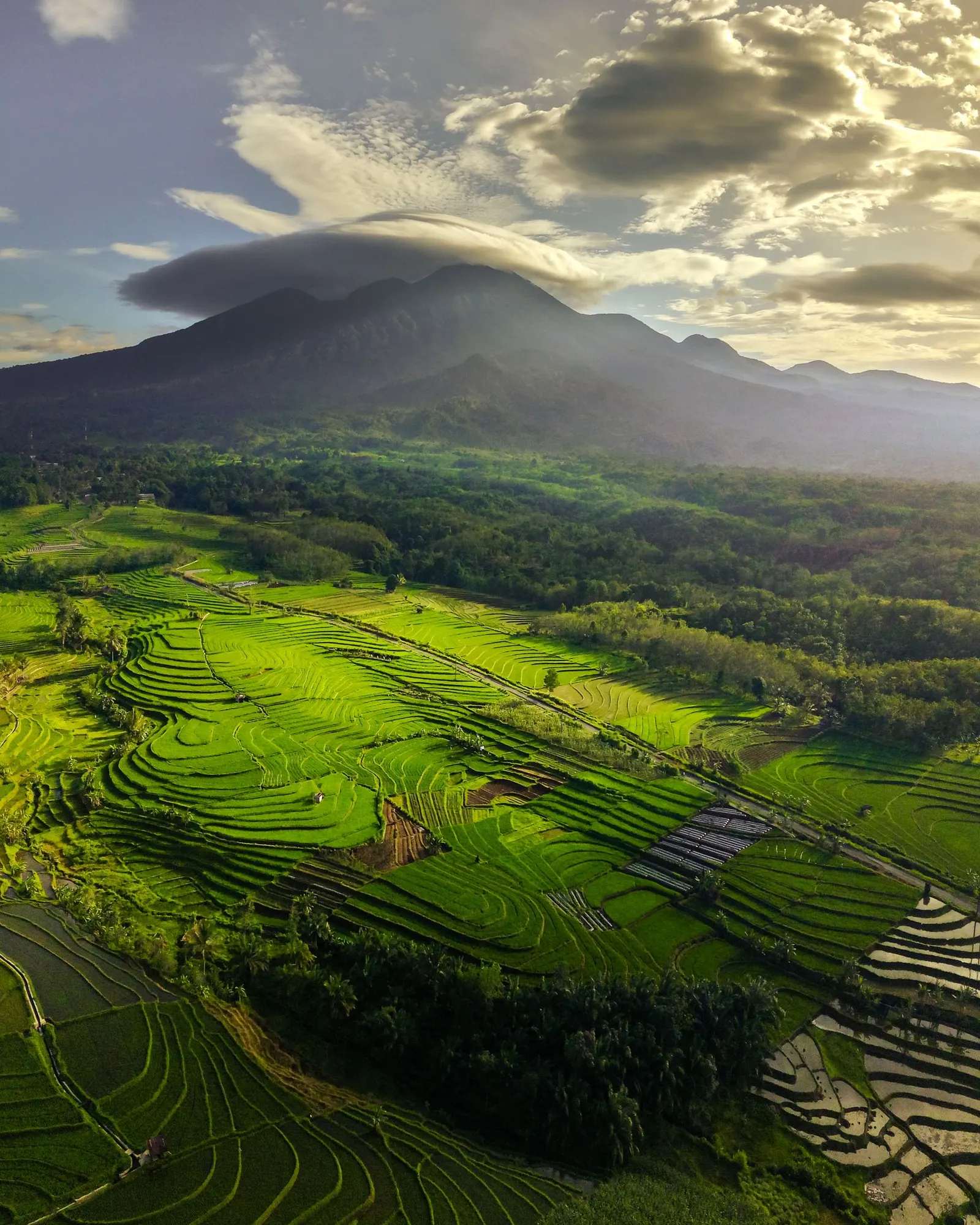 Terraced rice fields, Bengkulu