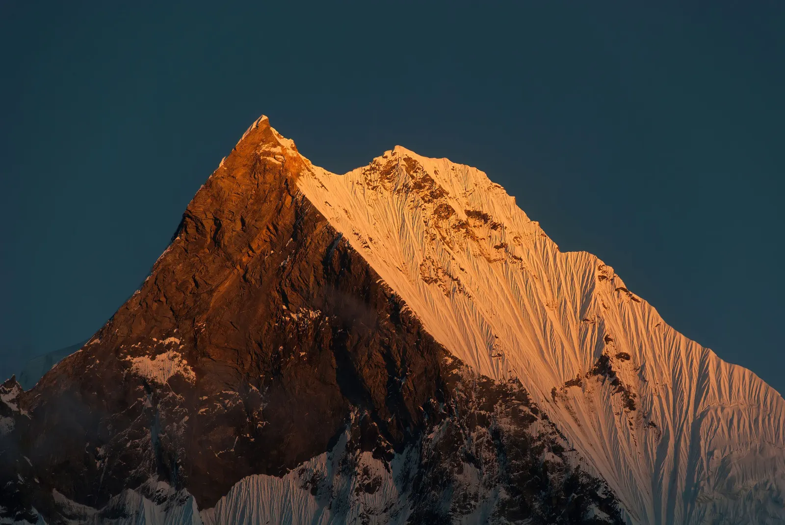 Machhapuchhre at sunset